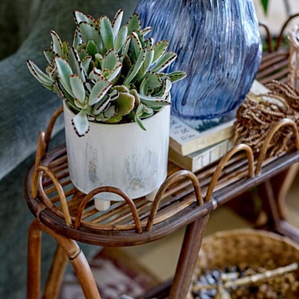 Vases. Decor. Home. Accessories. Style. Elegant. Timeless. Decorative. Modern. Classic. Statement. Sophisticated. Premium. Shapes. Sizes. Design. Centerpiece. Bloom. Collection. Refinement.