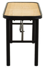 Dakota bench. Natural rattan bench. Black metal frame. Handwoven rattan. Minimalist bench. Organic texture. Sleek design. Home furniture. Natural living. Modern bench. Living room furniture. Rectangular bench. Stylish seating. Eco-friendly furniture. Durable bench.