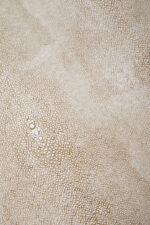 Fiora Shagreen Bedside Table. Shagreen leather bedside table. Two-drawer bedside table. Gold accent furniture. Modern nightstand. Luxury bedside table. Black leg table. Textured finish furniture. Contemporary bedroom décor. Boutique home style.