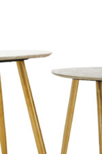 Fiora Set of 2 Shagreen Tables. Shagreen leather tables. Gold finish legs. Round top tables. Modern accent tables. Contemporary side tables. Luxury furniture set. Boutique living room décor. Durable shagreen furniture. Textured finish tables.
