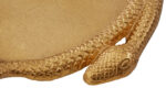 Avia Tray. Serpent-Inspired Tray. Round Gold Tray. Warm Metallic Tray. Decorative Accent Tray. Luxe Home Accessory. Animal-Inspired Tray. Antique Style Tray. Coffee Table Tray. Console Table Tray. Sideboard Tray. Sculptural Tray. Statement Decorative Tray. Cocktail Serving Tray. Luxury Tabletop Accessory. Designer Accent Tray. Bold Home Décor. Unique Decorative Tray. Functional Decorative Tray. Metallic Round Tray.
